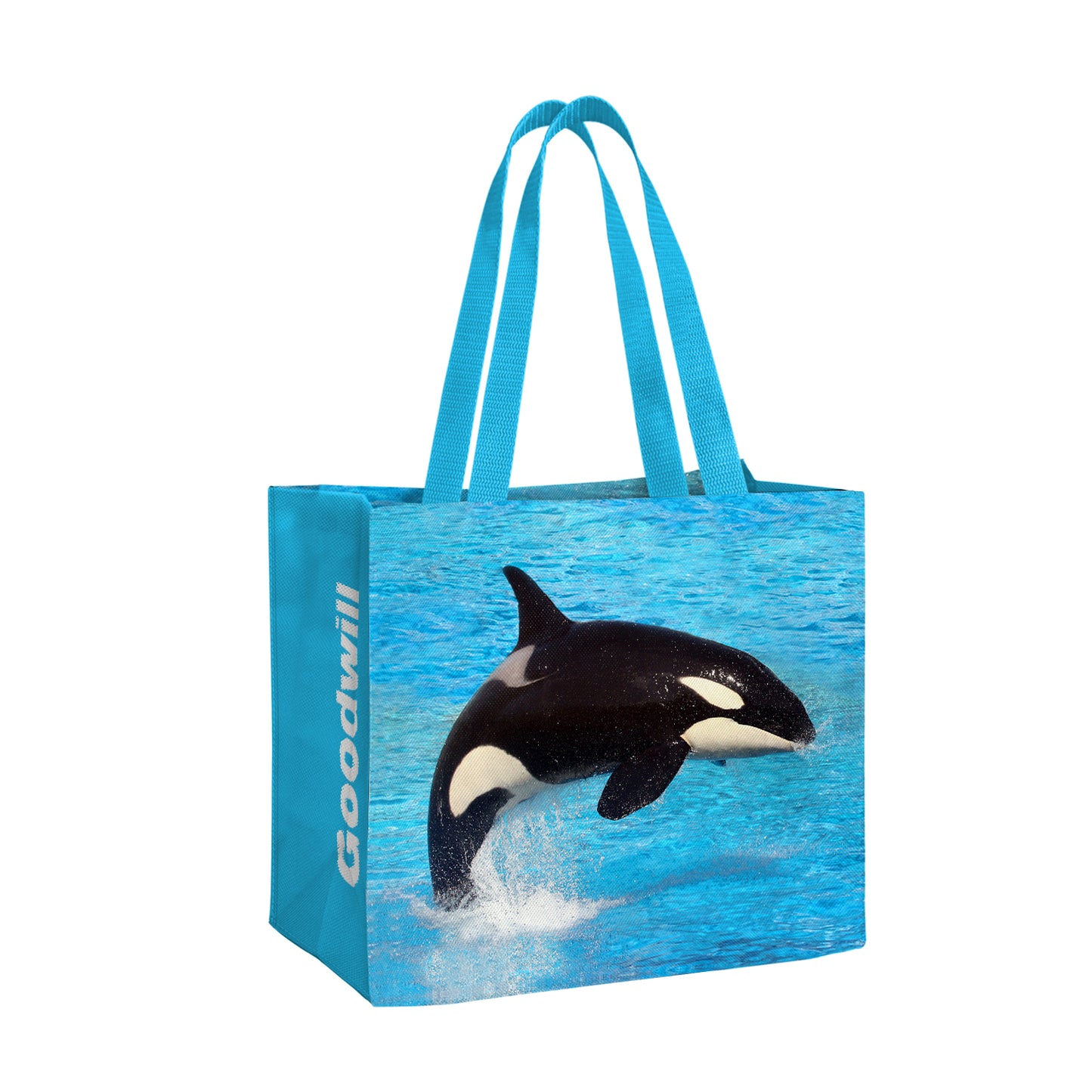 WHALE WATCH GW